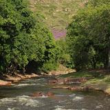 LaVern M. Johnson Park