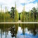 Jardín Etnobotánico