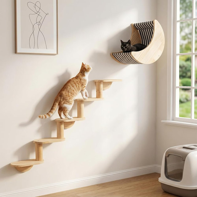 Cat Shelf for Wall Mount Hammock with 5-Levels Climbing Ladder Moon Cat Shelves and Perches for Activity Indoor Cats Wall Furniture(5-Levels Steps)