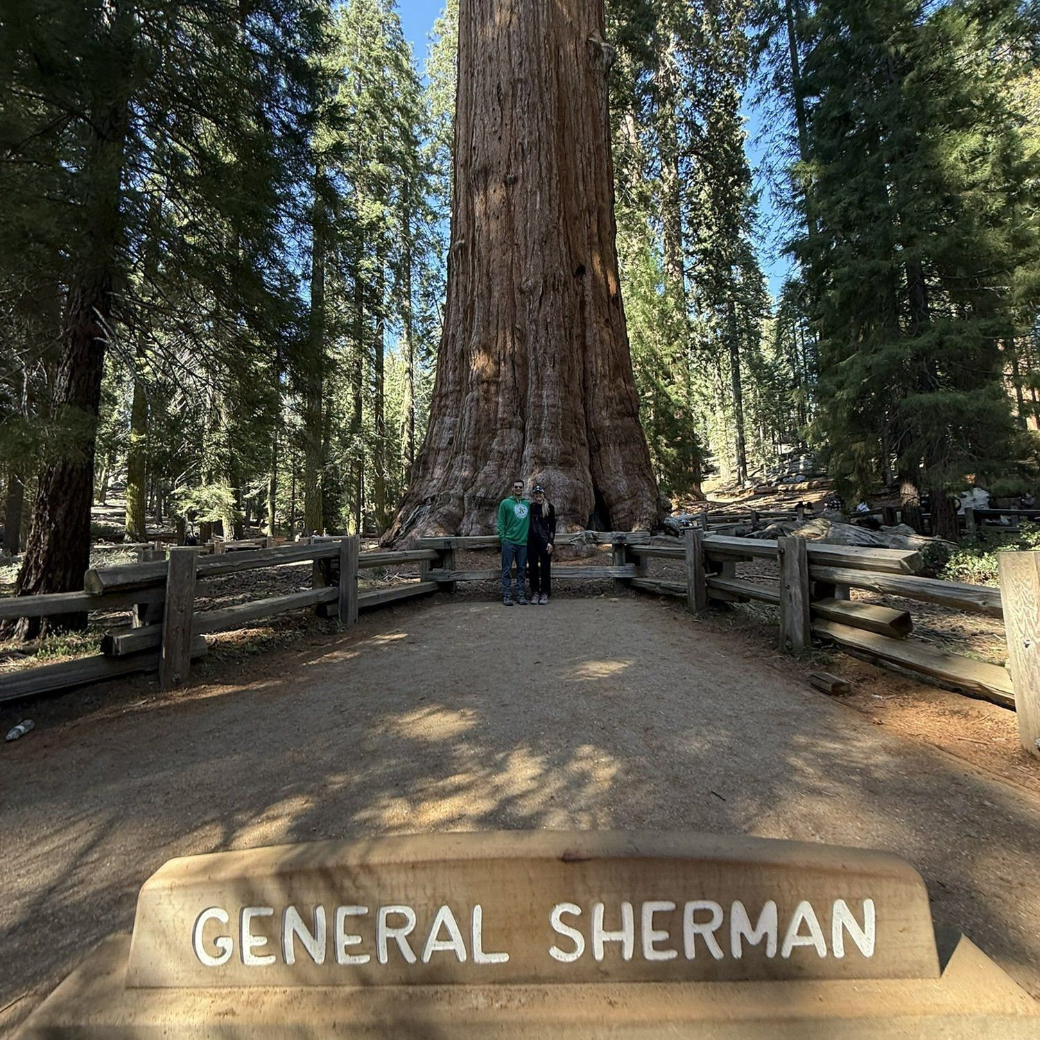 Sequoia National Park. General Sherman is the largest tree on Earth.