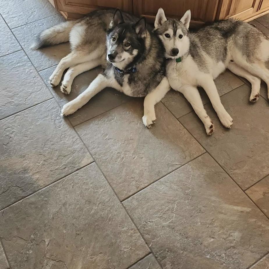 Odin and Finn!