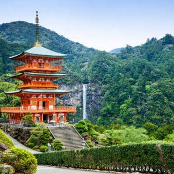 The honeymooners take on Japan!