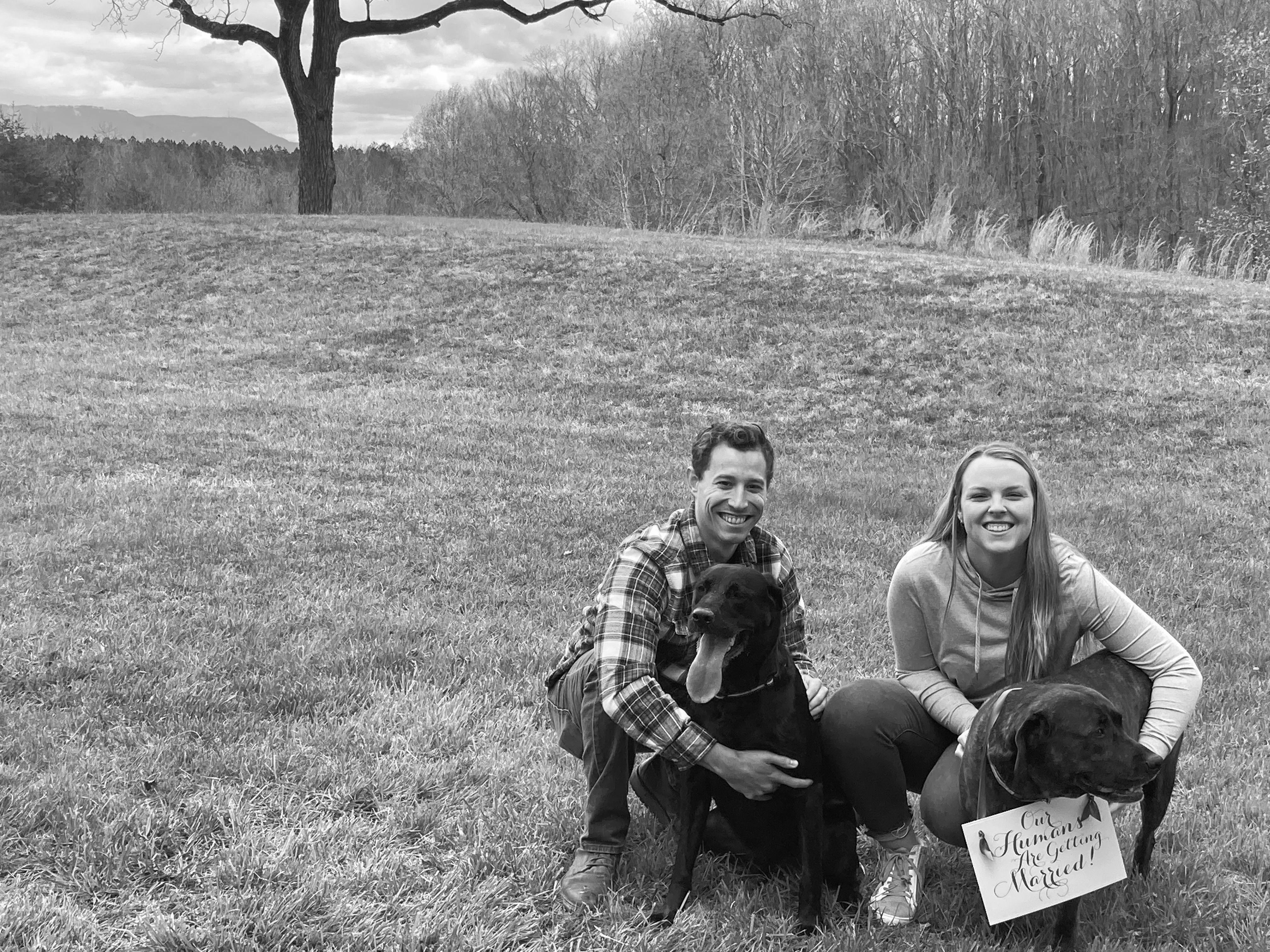 bc3b027a-5e99-42f3-b4cf-9293233ac04f