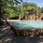 Fort Worth Water Gardens
