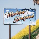 An Essential Guide to Malibu