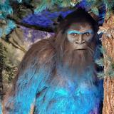 Sasquatch Outpost