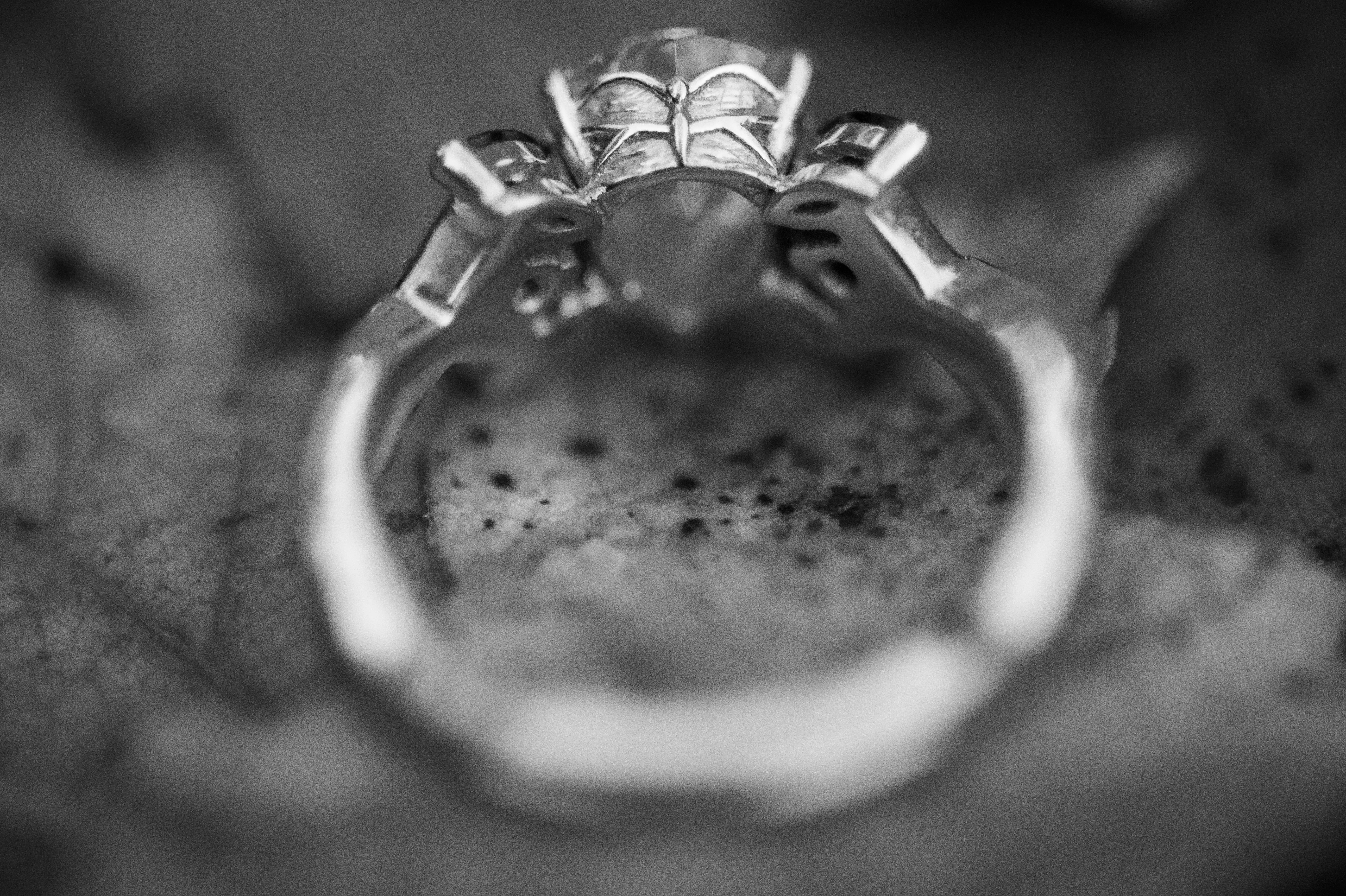 The Wedding Website of Elizabeth Maya and Aidan Gibbons