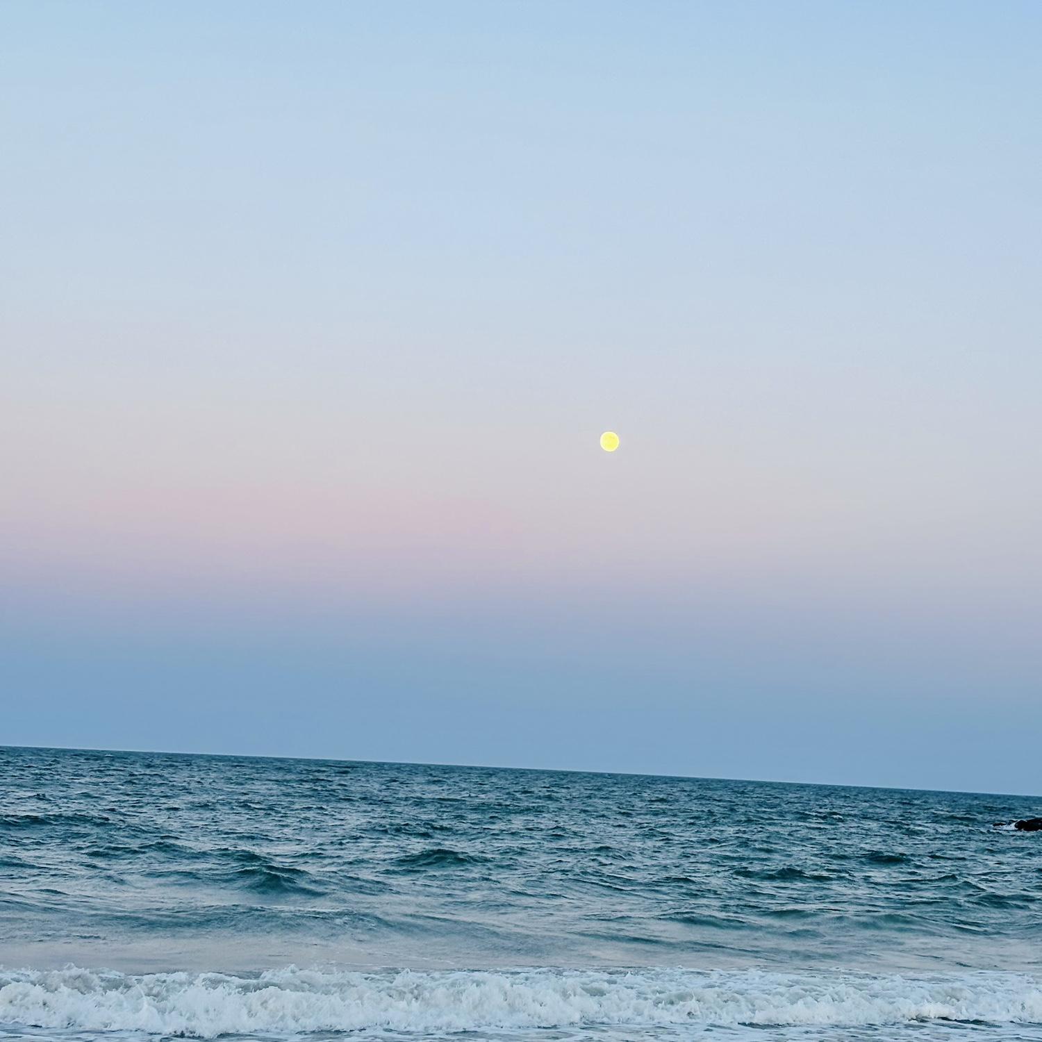 The beautiful sunset the night we got engaged.