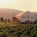 King Family Vineyards