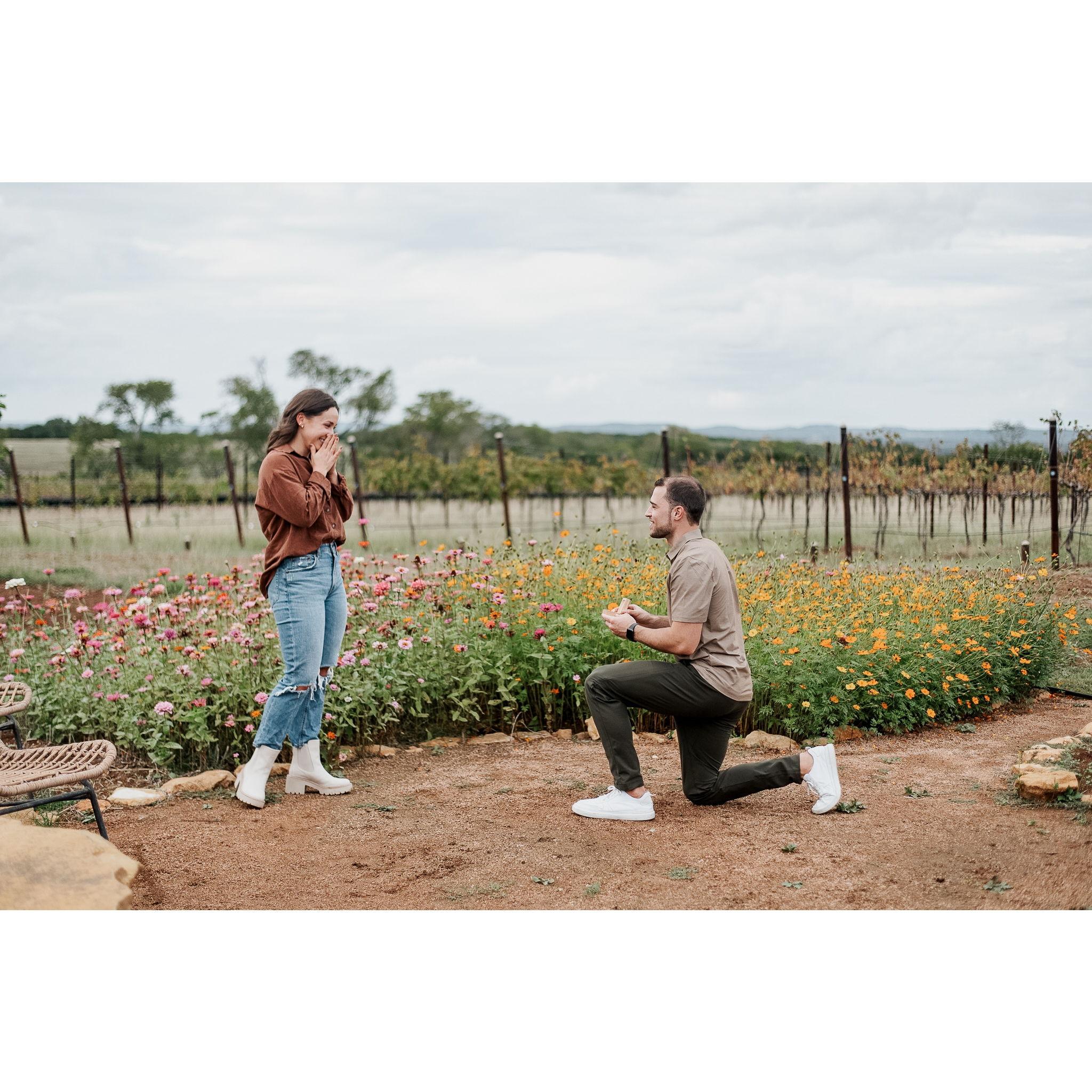Engagement: 10/28/23
