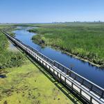 Point Pelee National Park