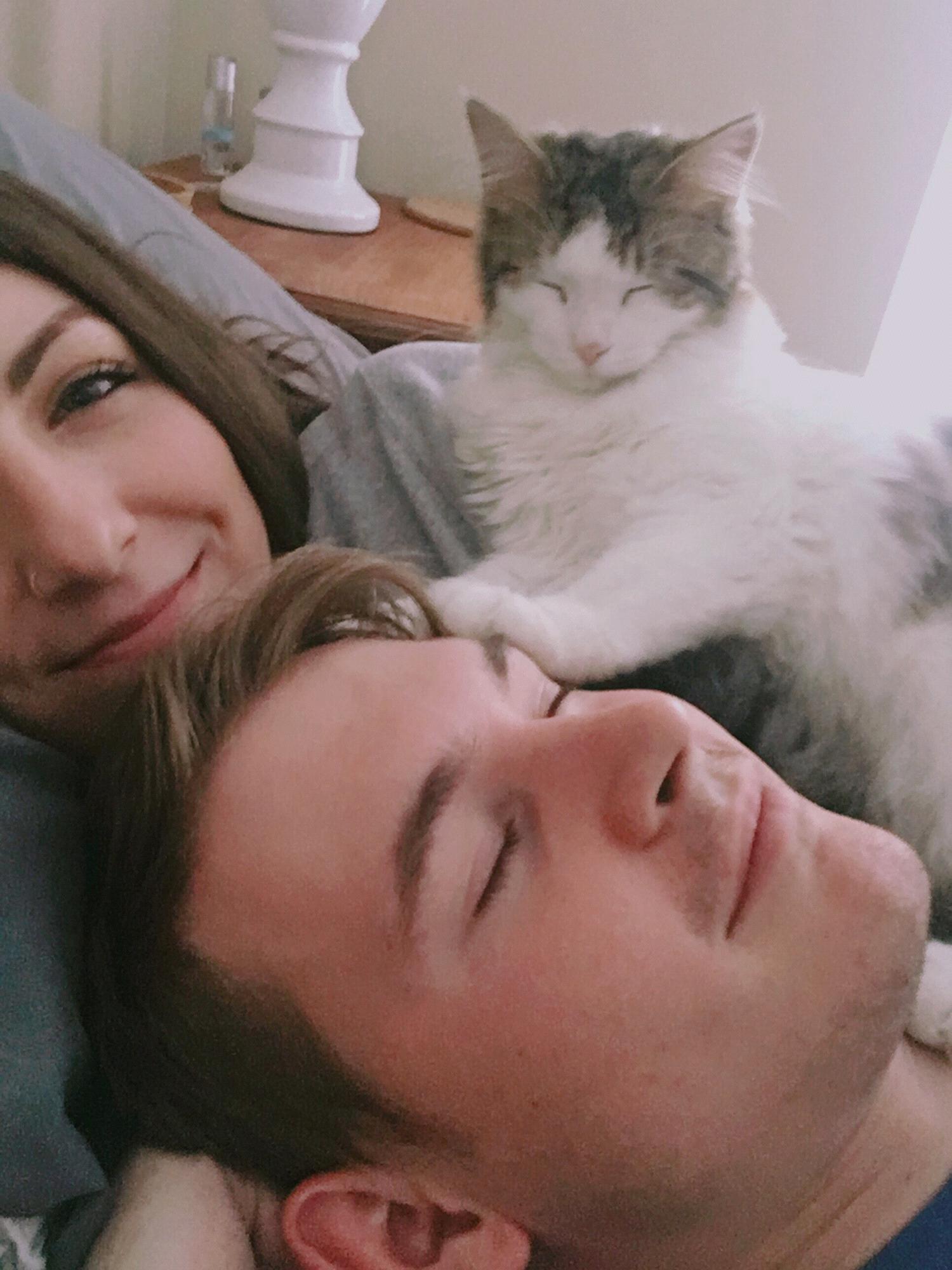 Lazy day, January 2018.