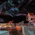 North Carolina Museum of Natural Sciences