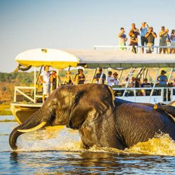 Chobe River Cruise