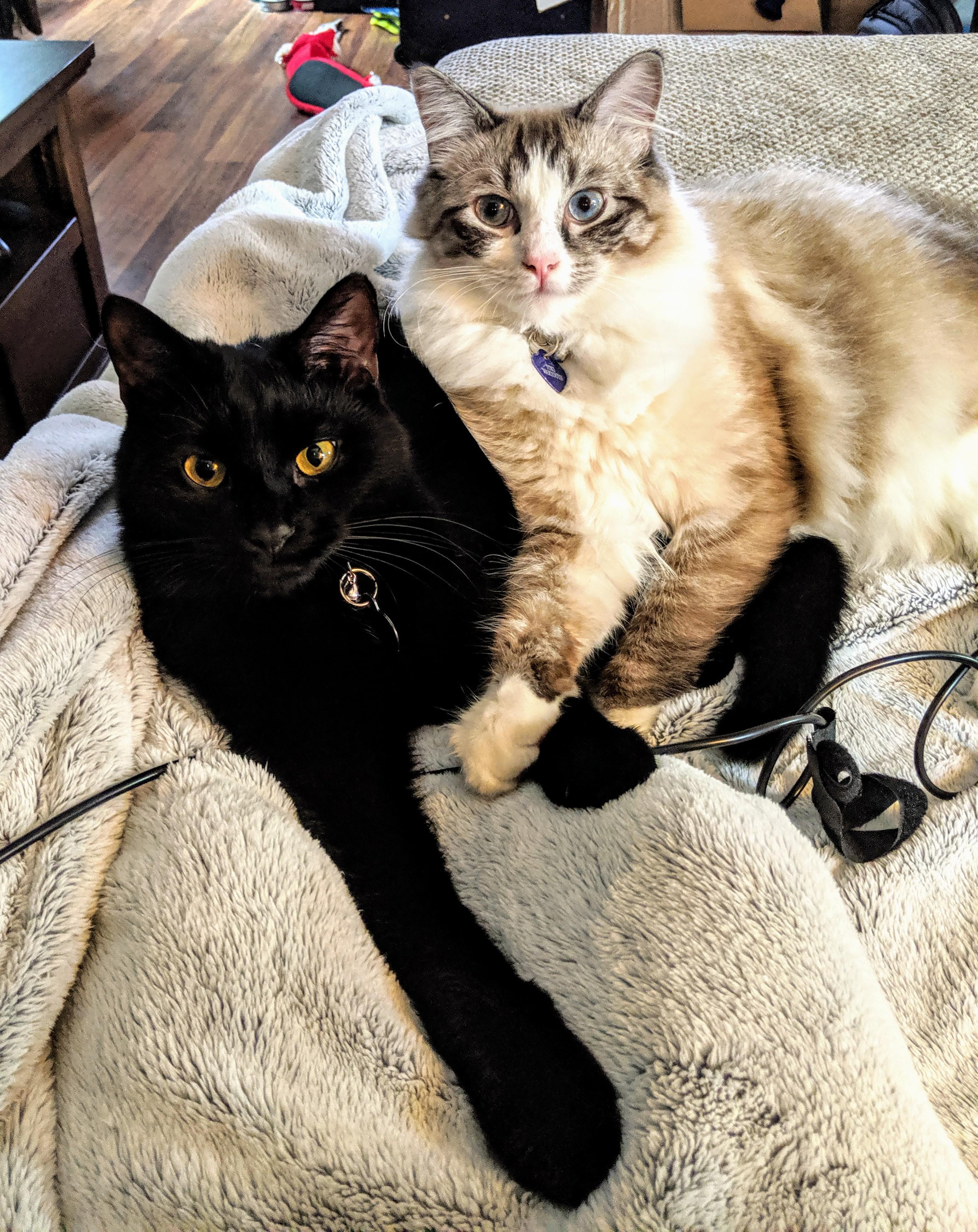 bc49cc36-0e53-40d3-b950-e35a080e665c