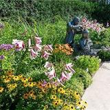Green Bay Botanical Garden