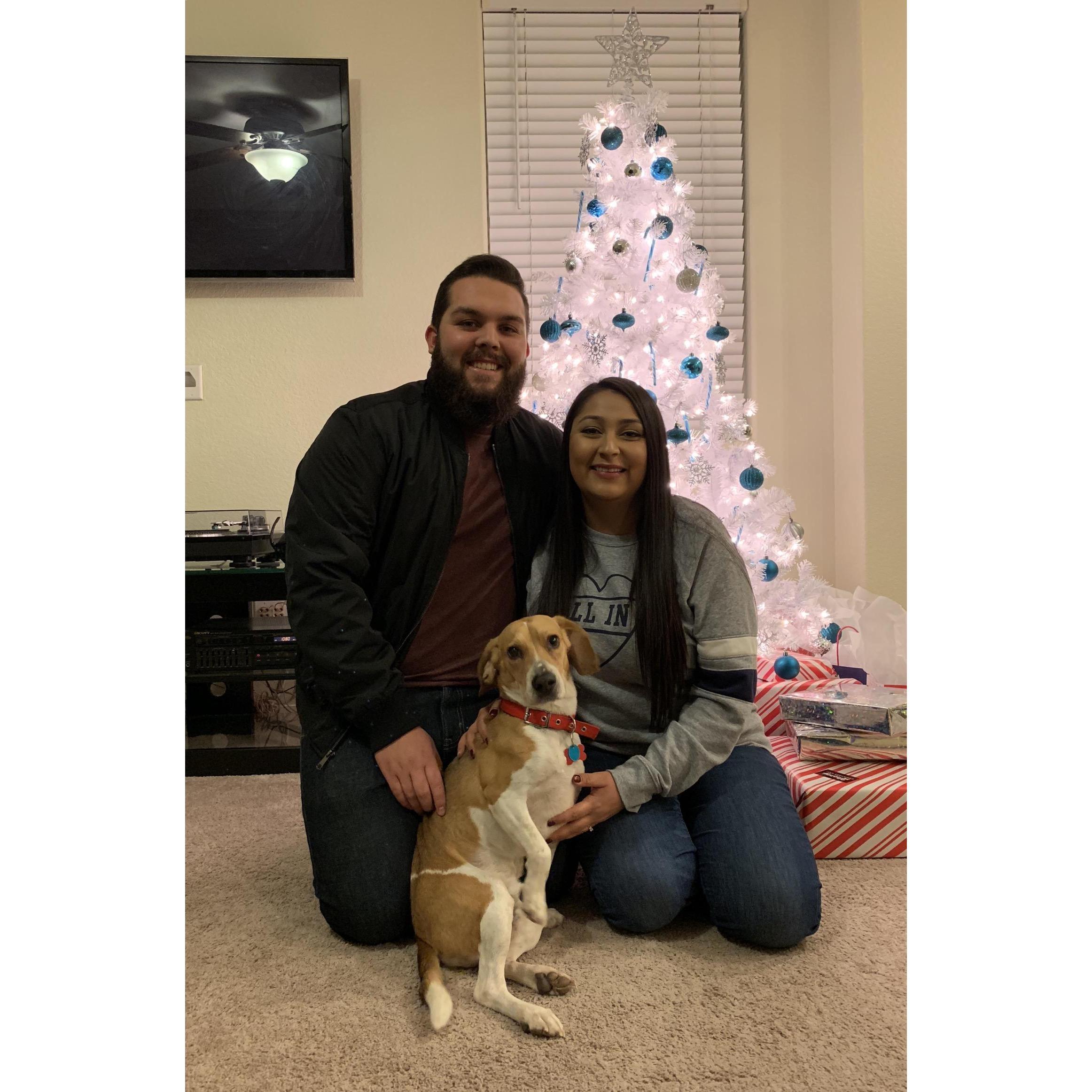 When we adopted our baby Ringo!