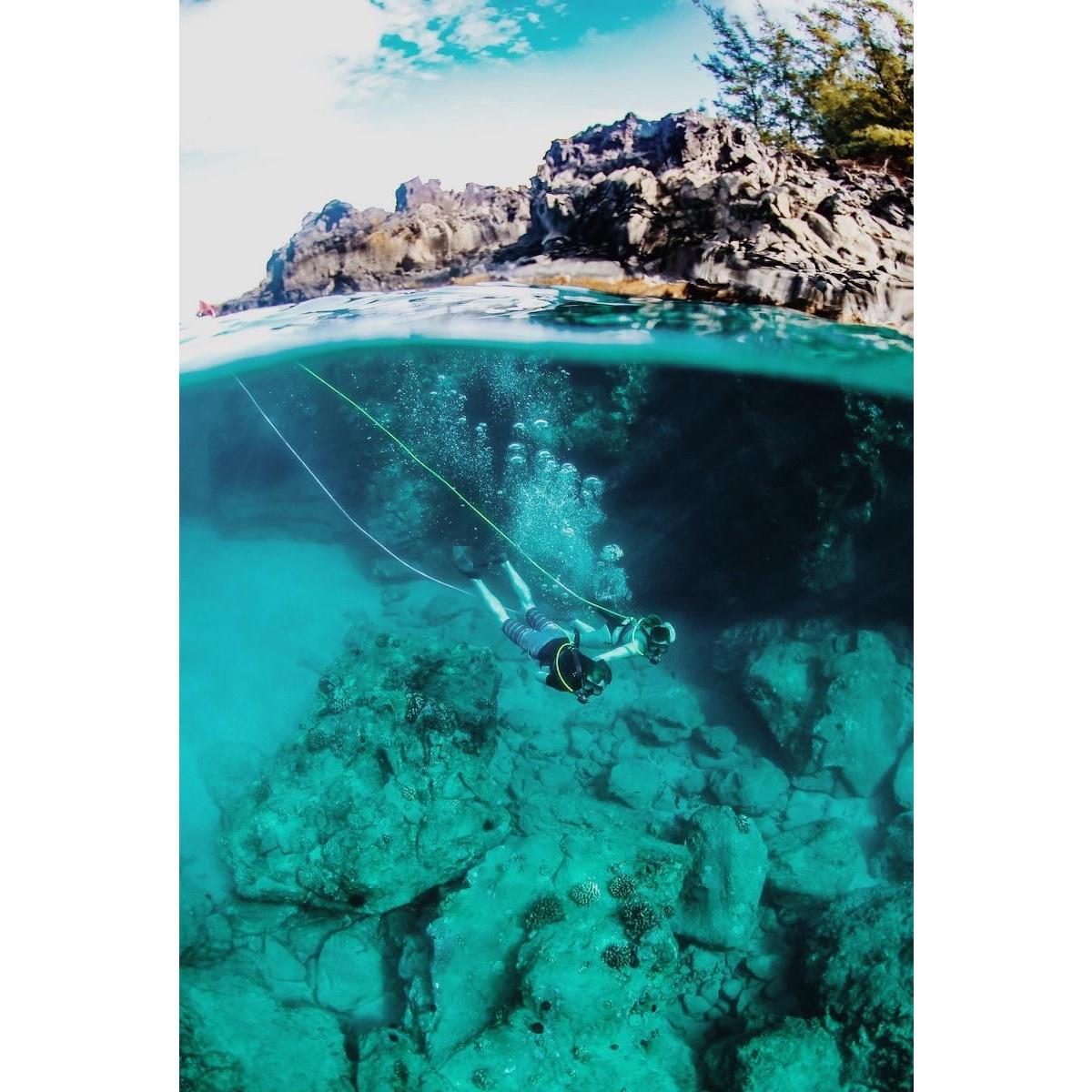 Thanksgiving in Hawaii!
We touched a turtle! Shhhh...