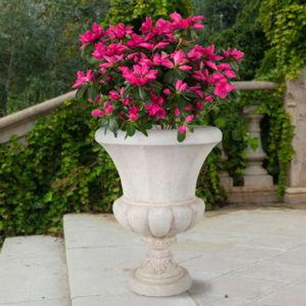 Planters Urn 21.5-in W x 21.5-in L White Mixed/Composite Indoor/Outdoor Planter