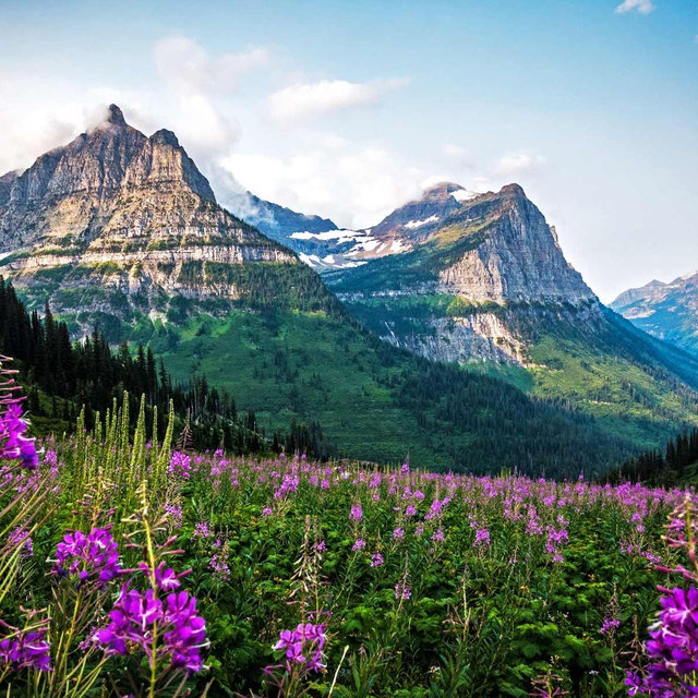 National Park Honeymoon Fund