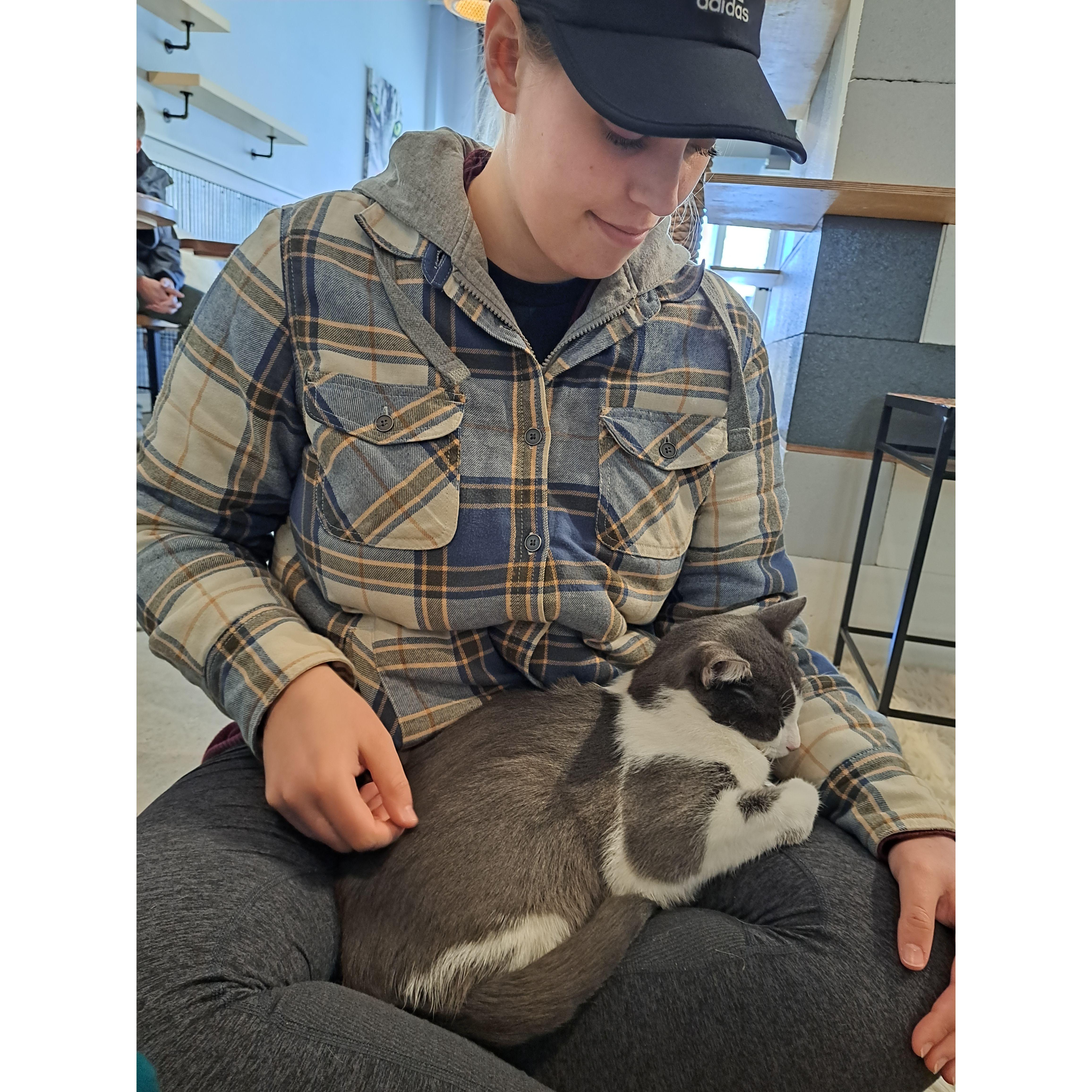 After moving into our house, we wanted Gimli to have a friend. We went to a cat cafe, where a cat laid in my lap and simply wouldn't leave it! So, of course, we had to take him! Meet our boy, Rommel!