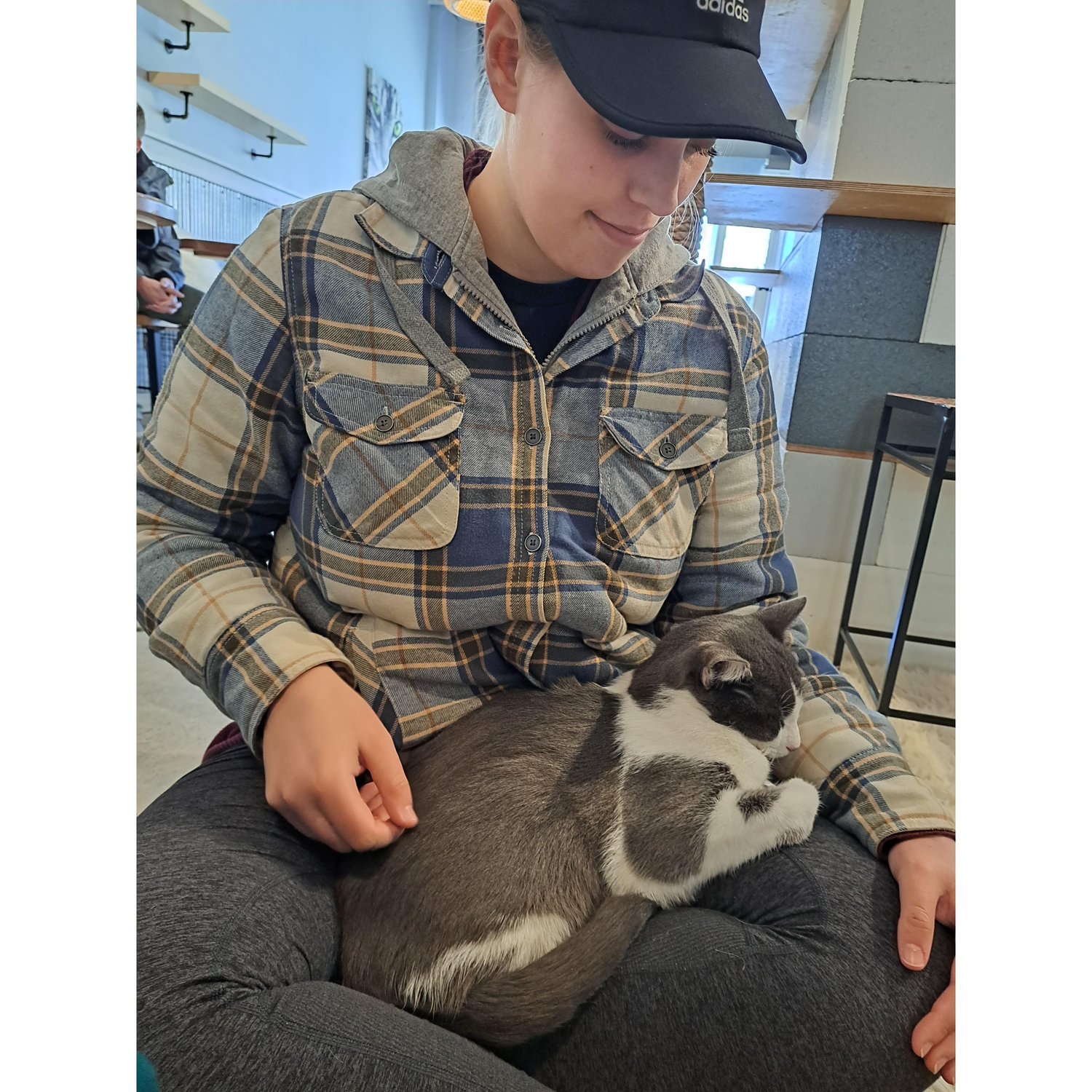 After moving into our house, we wanted Gimli to have a friend. We went to a cat cafe, where a cat laid in my lap and simply wouldn't leave it! So, of course, we had to take him! Meet our boy, Rommel!