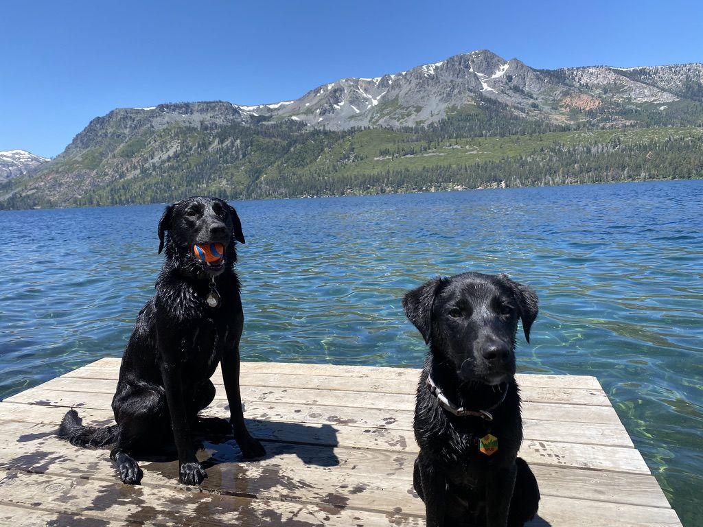 The Wedding Website of Sarah Pendergrast and Sam King