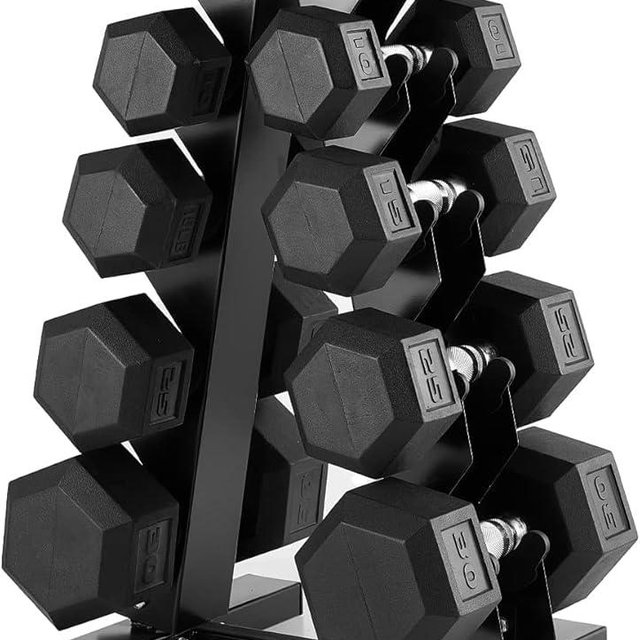 PAPABABE Dumbbell Set, Weights Dumbbells Set With Rack Free Weights Dumbbells Set Home Weight Set