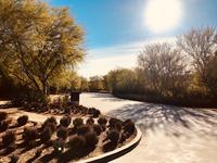 Sunnylands Center & Gardens