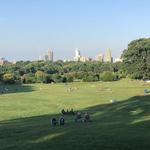 Dorothea Dix Park