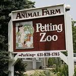 Animal Farm Petting Zoo