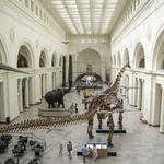 Field Museum