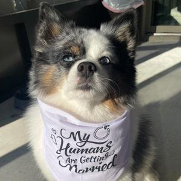 Cash's Weekend Getaway