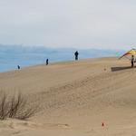 Jockey's Ridge State Park