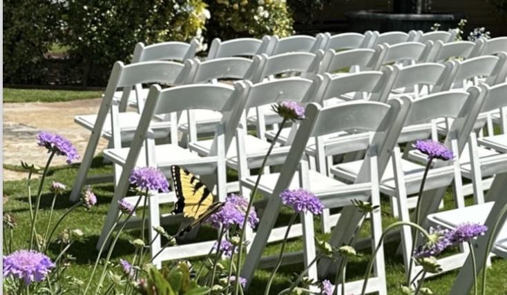 The Wedding Website of Rachel Archer and Ryan Edwards