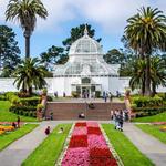 Golden Gate Park