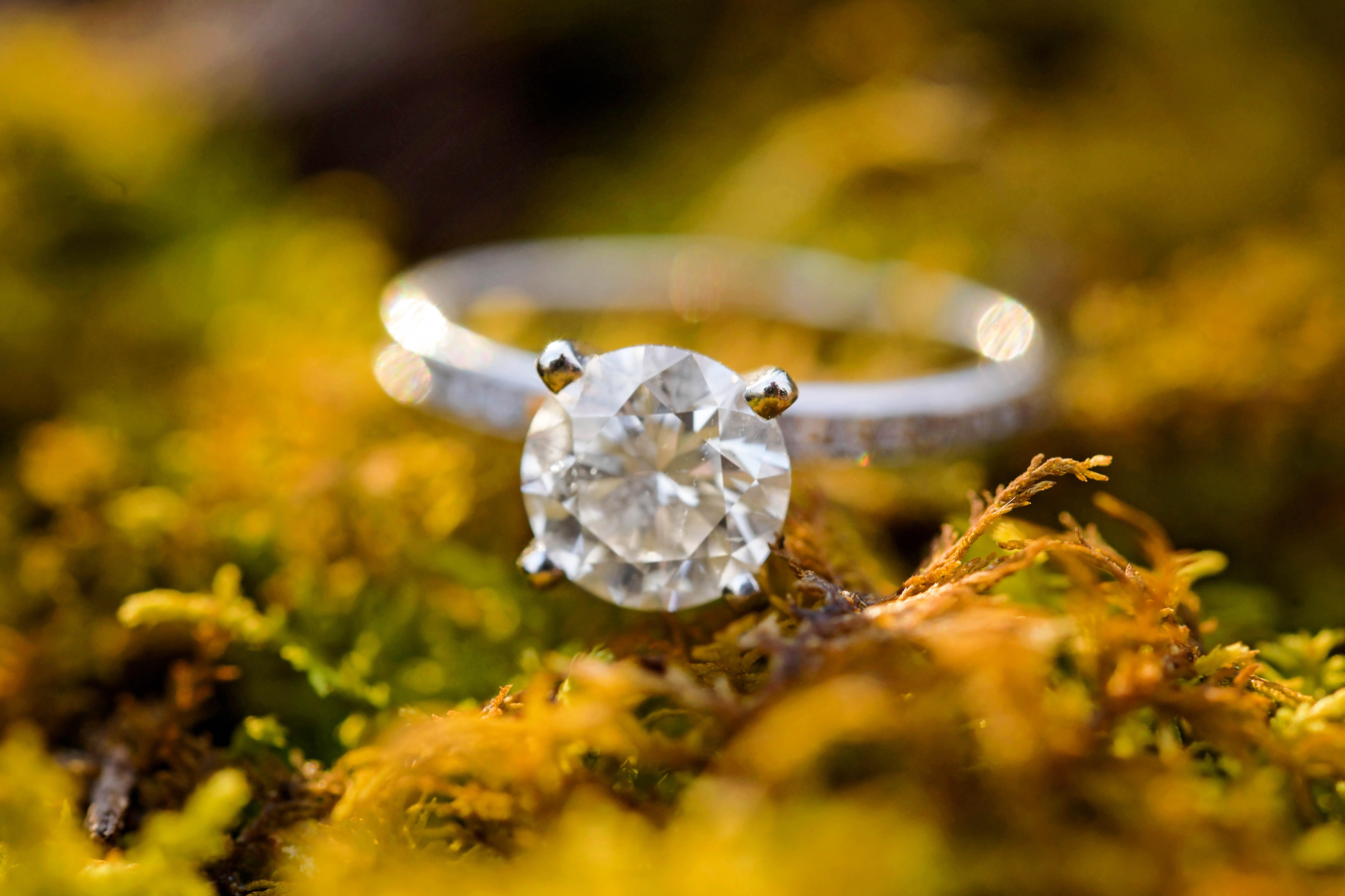 The Wedding Website of Kayla Carlile and Bill Brown