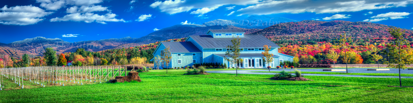 The Wedding Website of Emily Zimmermann and Morgan Wright