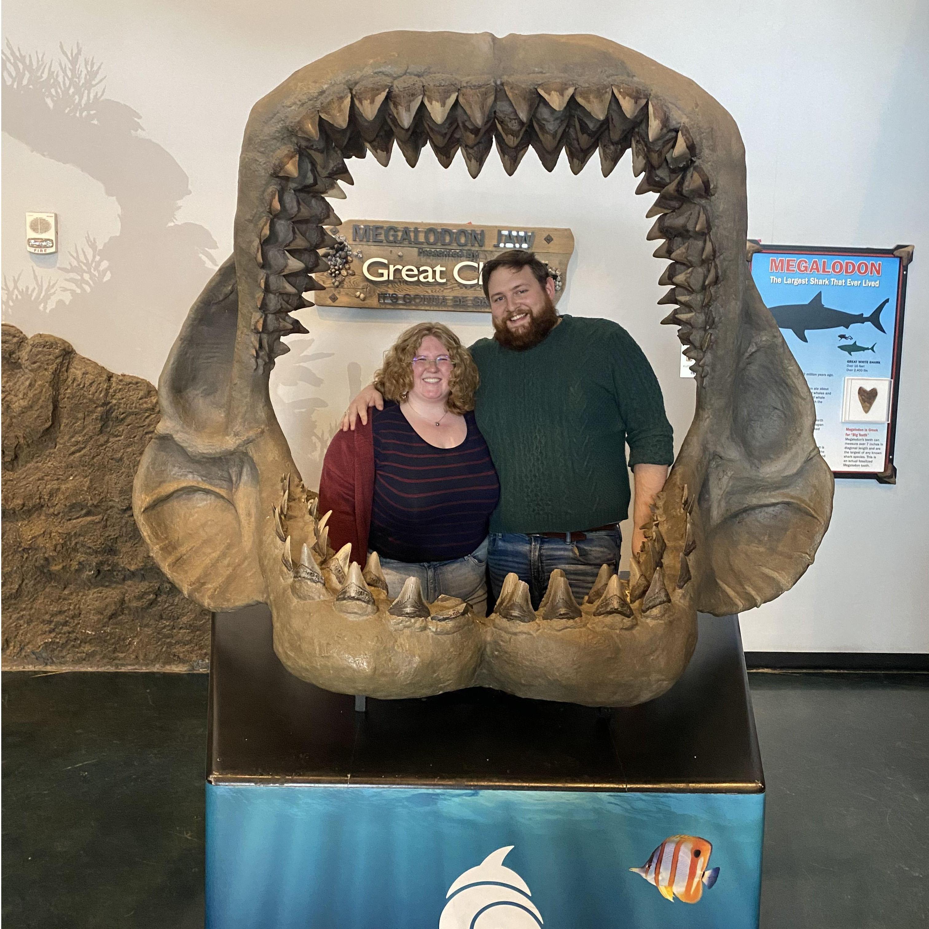 A date at the aquarium in February 2024.