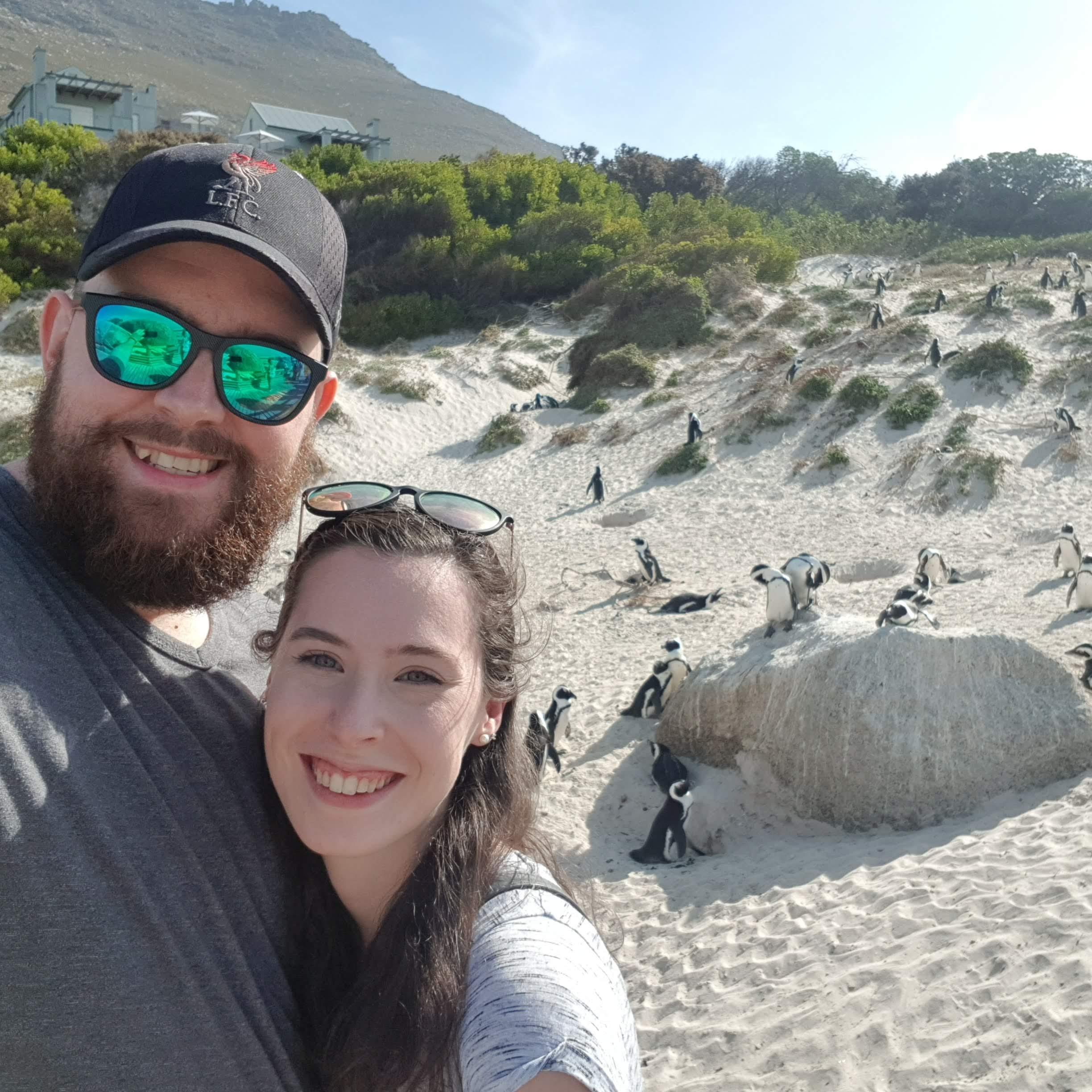 Penguins at Boulders Beach in Cape Town, South Africa.