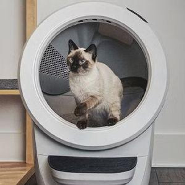 Liter Robot for Luna (Our Cat)