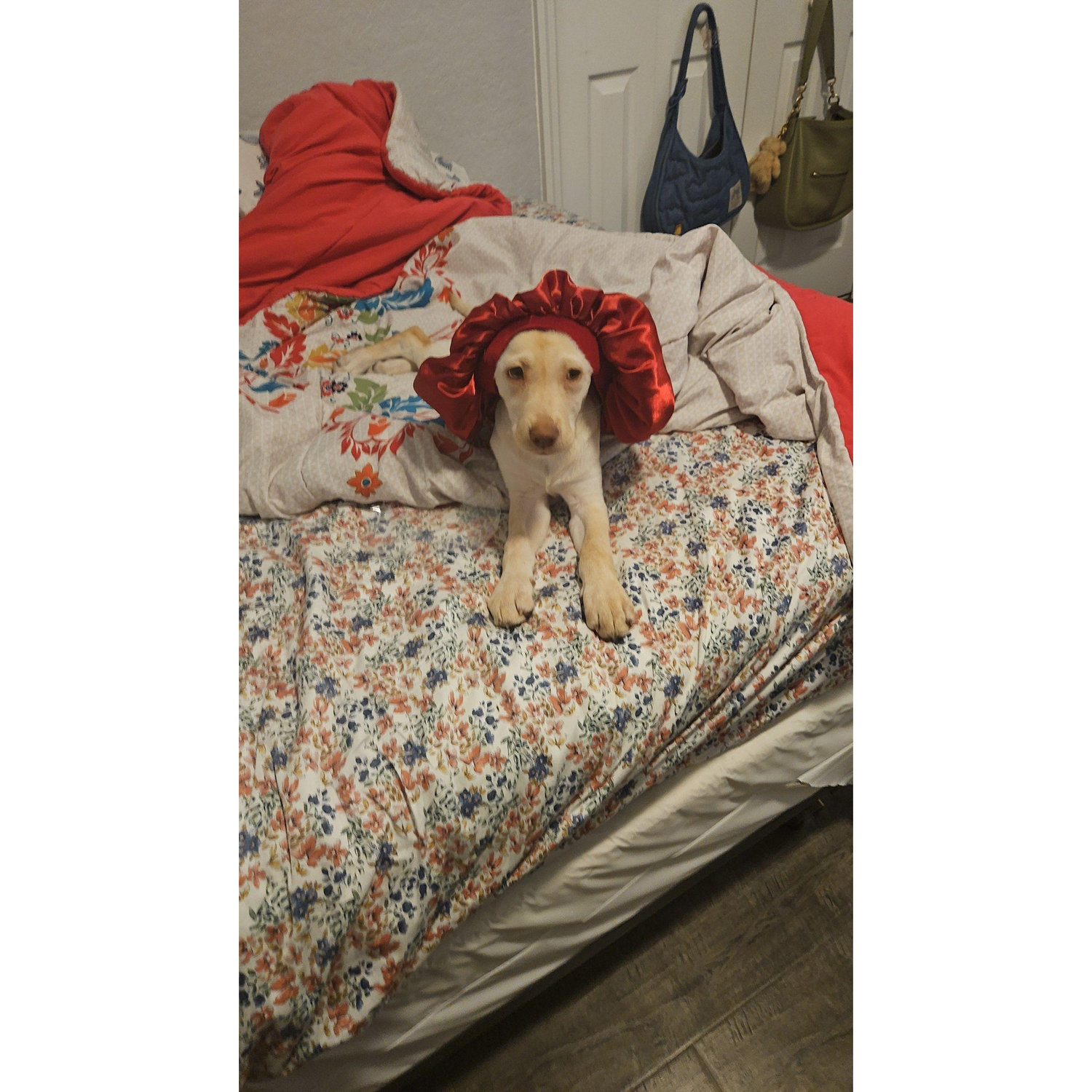 Our first daughter
