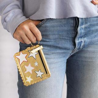 Fun Money Card Holder Keychain