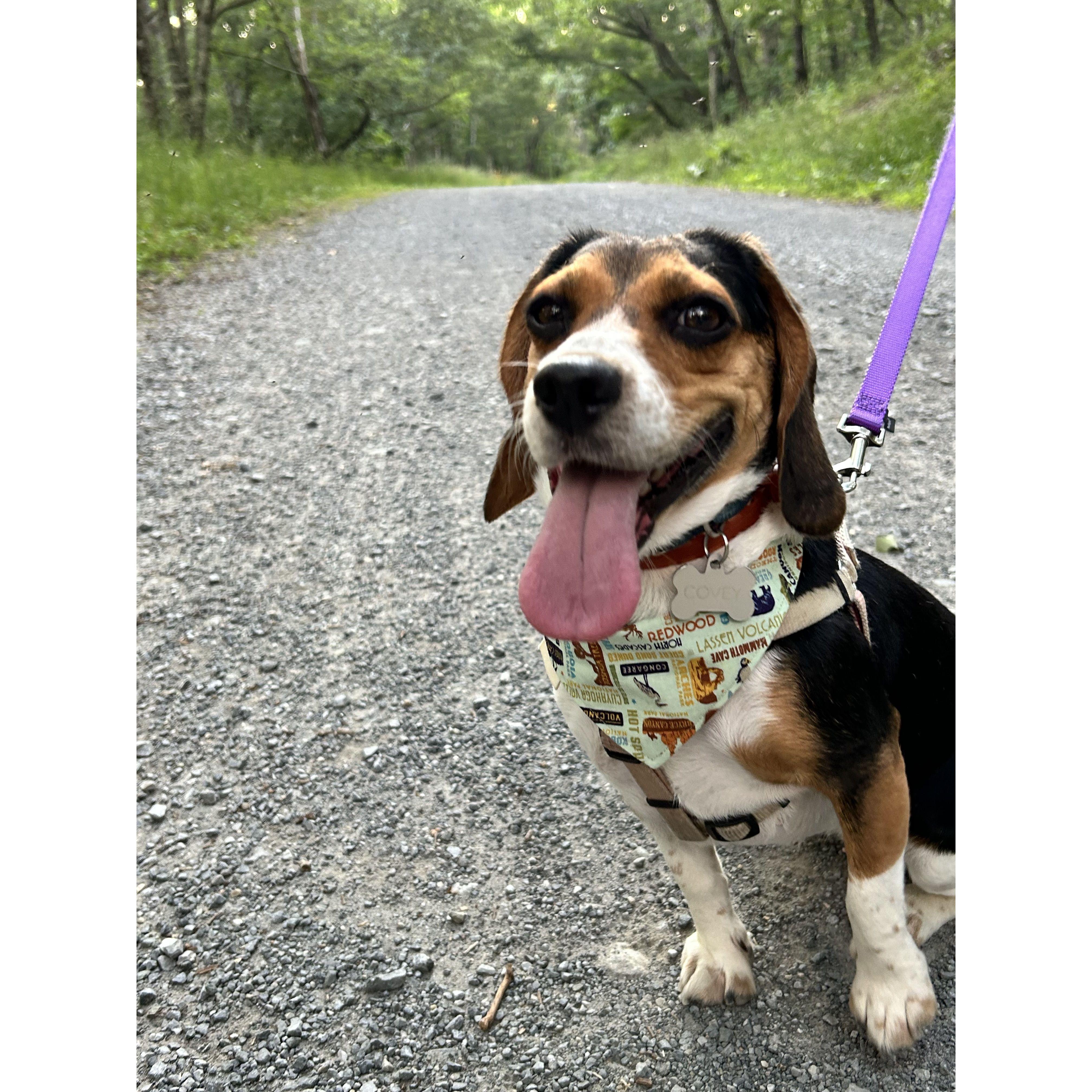 Hiking Buddy
