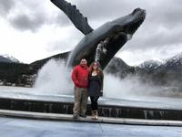 See The Whale Project