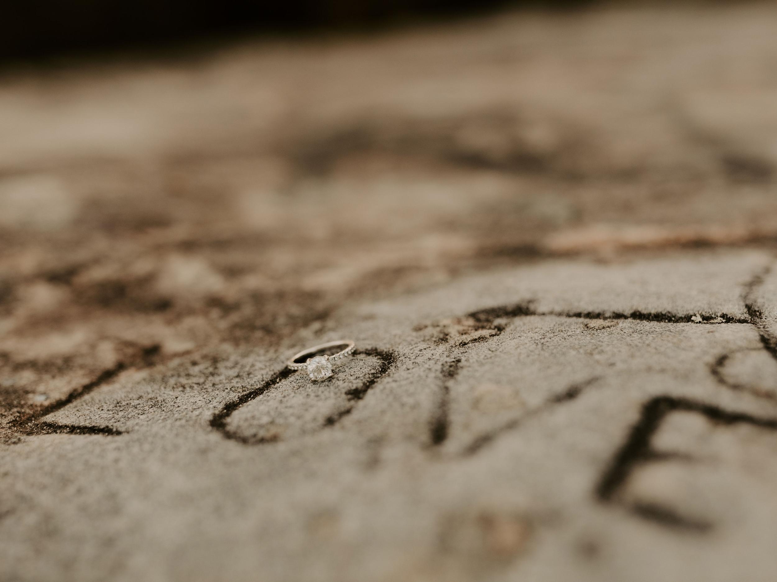 The Wedding Website of Morgan Lenhart and Matthew Williams