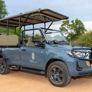 Safari Excursions - Kruger National Park