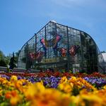 Krohn Conservatory