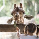 Jacksonville Zoo and Gardens