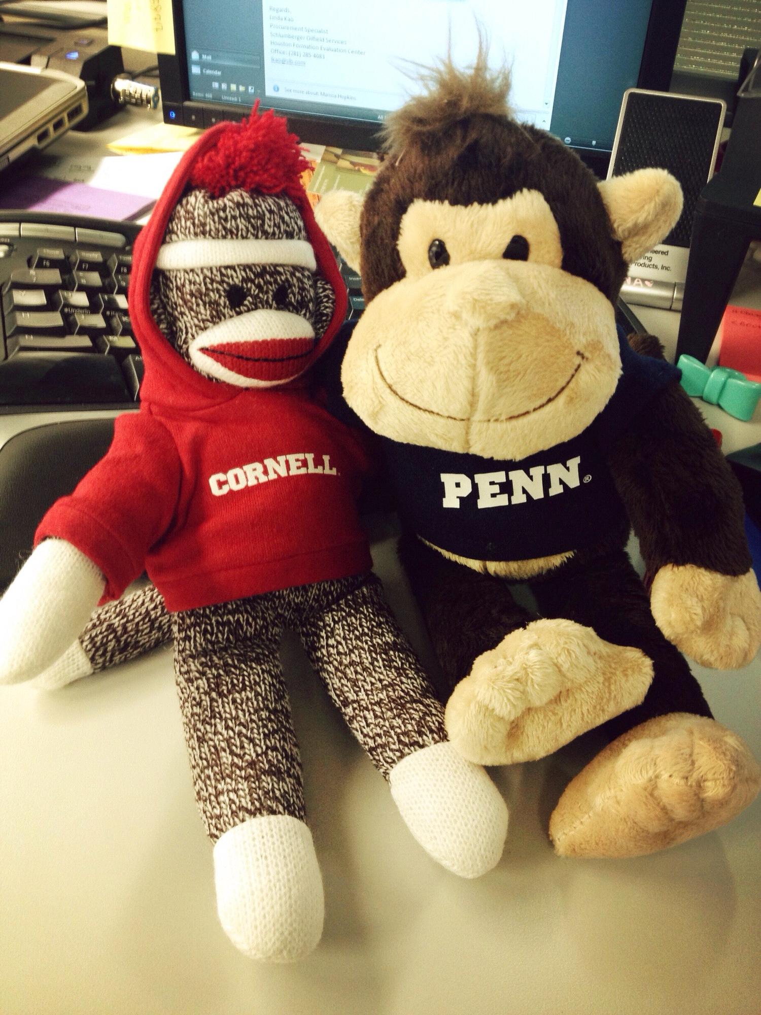 Monkey & Gorilla